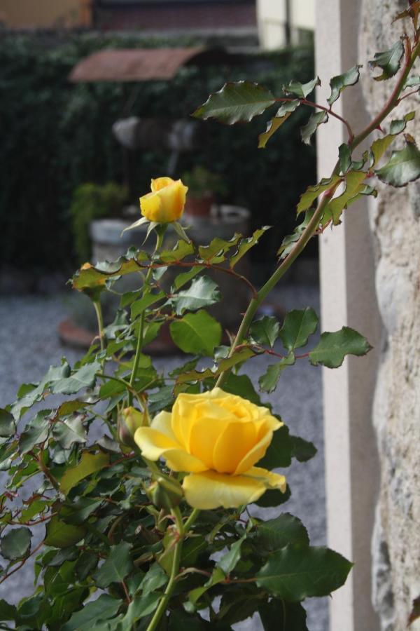 Bed and Breakfast Cascina San Martino Passirano Экстерьер фото